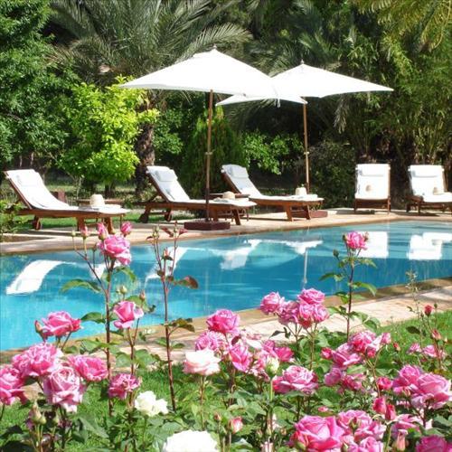 Dar Zemora Hotel มาร์ราเกช สิ่งอำนวยความสะดวก รูปภาพ